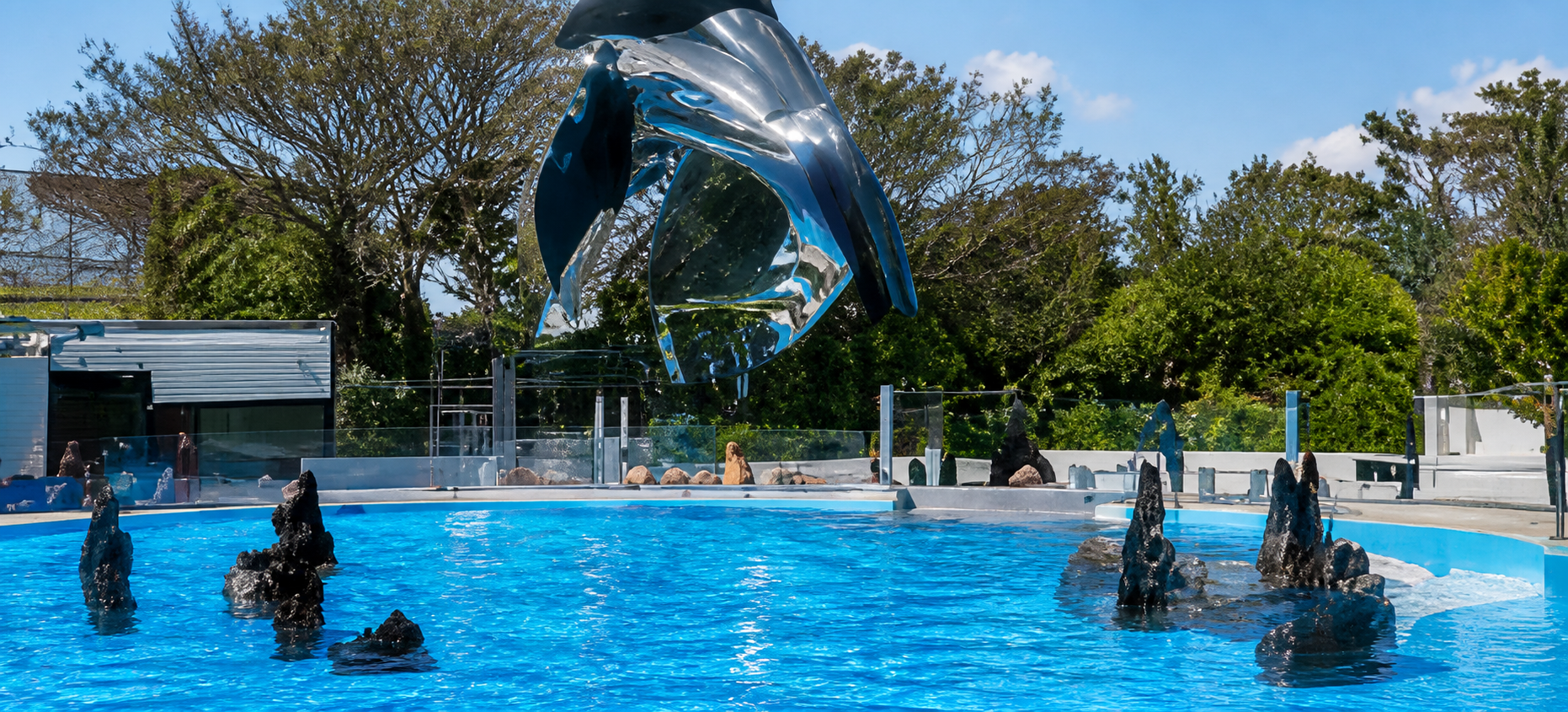水族館の展示